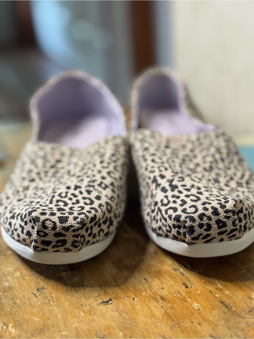 TOMS Leopard Canvas Slip-Ons - Beige & Black - Picture 10 of 12